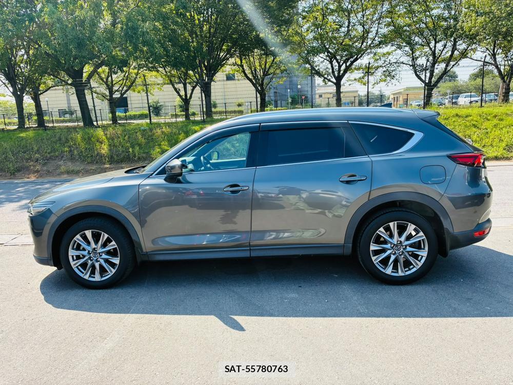 Mazda CX-8 2019-09 8499231-1