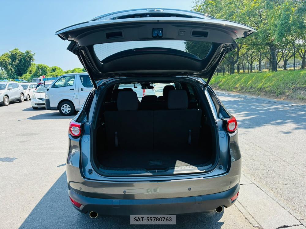 Mazda CX-8 2019-09 8499231-28