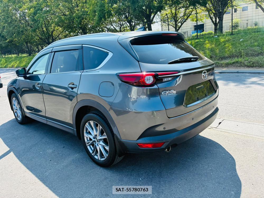Mazda CX-8 2019-09 8499231-2