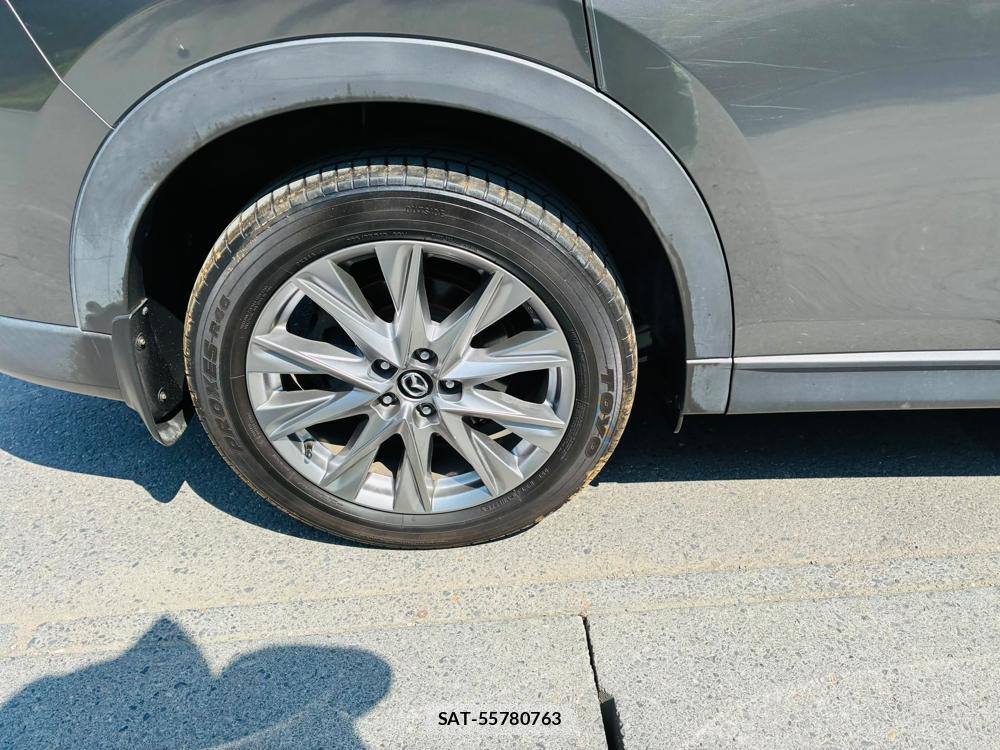 Mazda CX-8 2019-09 8499231-29