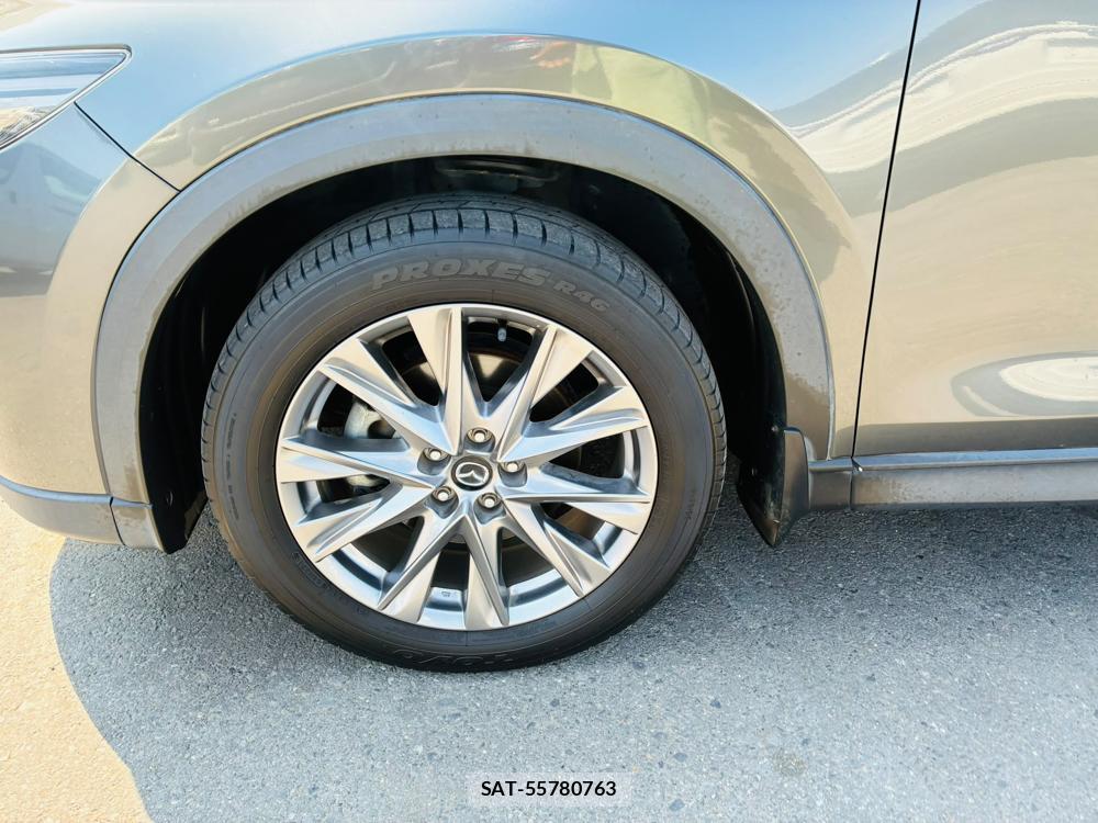 Mazda CX-8 2019-09 8499231-31