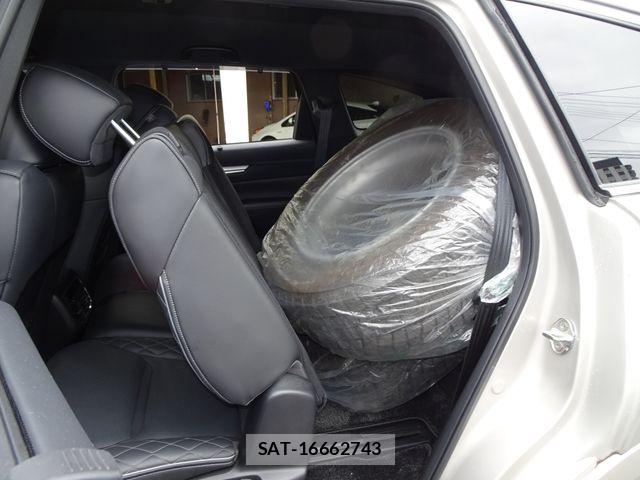 Mazda CX-8 2023-10 8658682-16