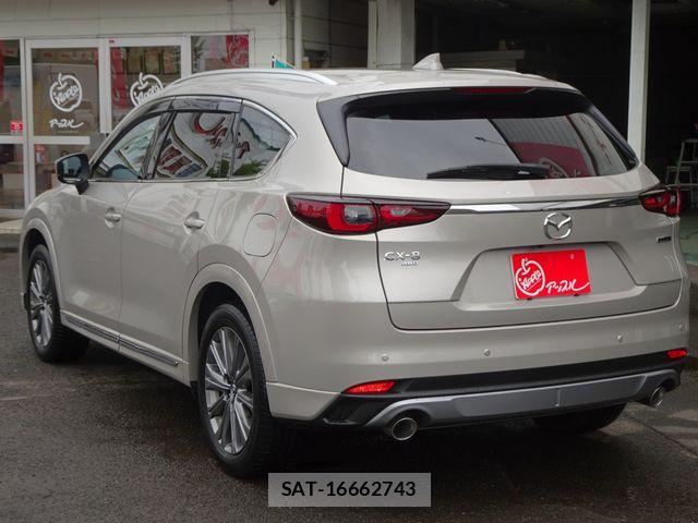 Mazda CX-8 2023-10 8658682-4