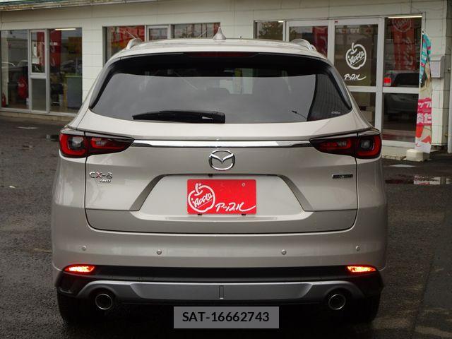 Mazda CX-8 2023-10 8658682-6