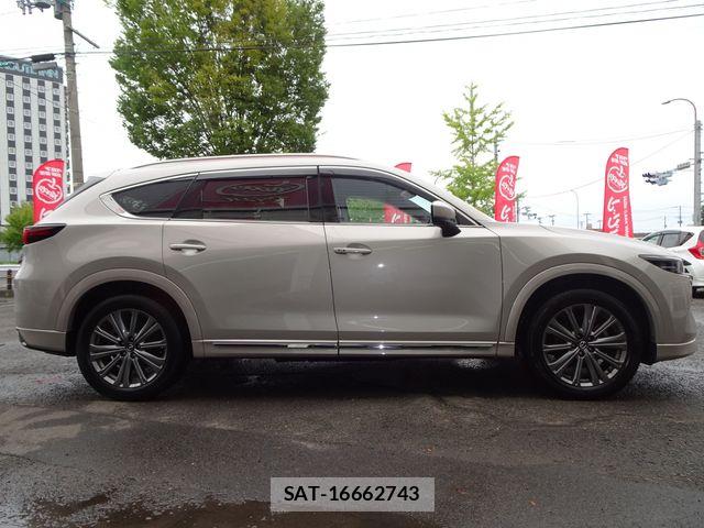 Mazda CX-8 2023-10 8658682-7