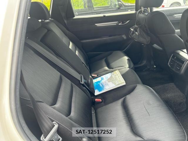 Mazda CX-8 2019-08 8666041-19