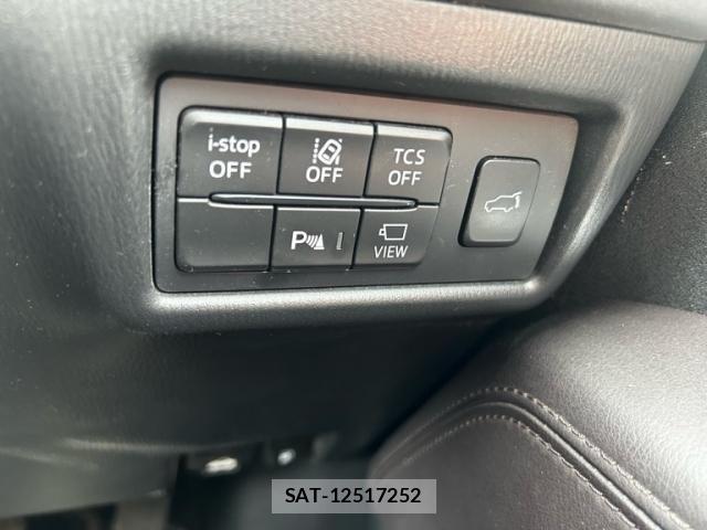 Mazda CX-8 2019-08 8666041-22