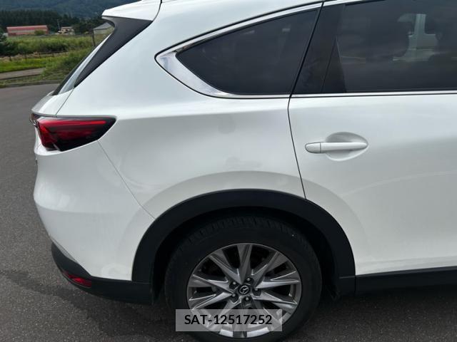 Mazda CX-8 2019-08 8666041-4