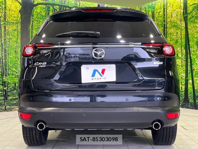 Mazda CX-8 2019-03 8666037-15