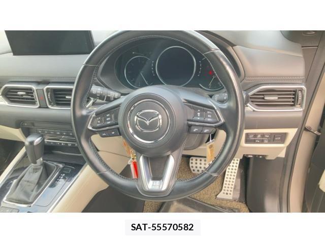 Mazda CX-8 2021-02 8741594-12