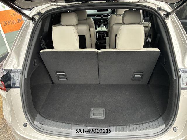 Mazda CX-8 2024-01 8795715-8