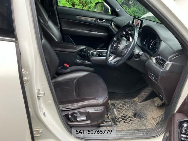 Mazda CX-8 2019-09 8795719-18