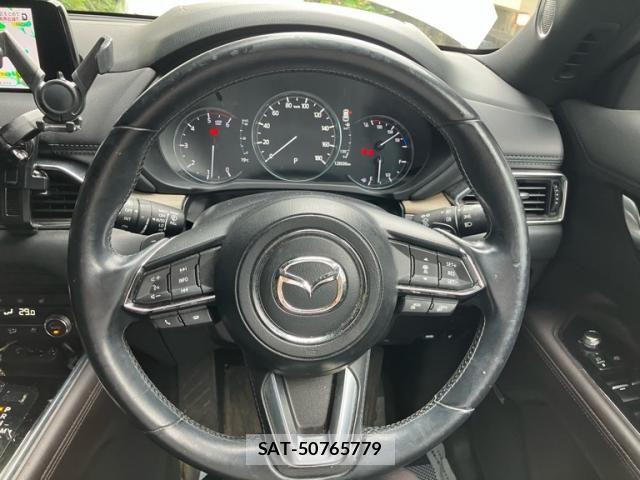 Mazda CX-8 2019-09 8795719-21