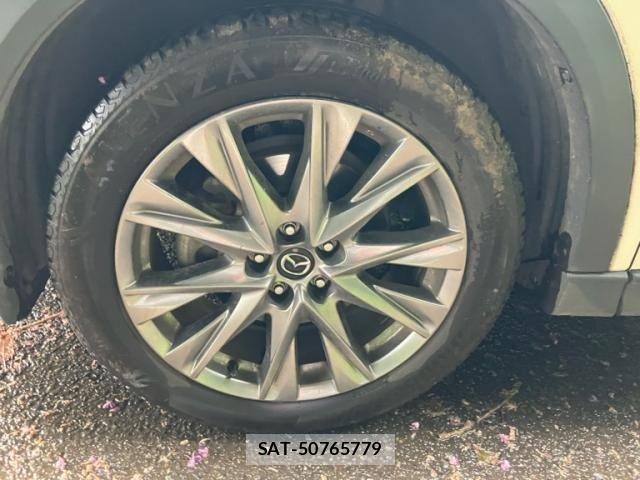 Mazda CX-8 2019-09 8795719-4