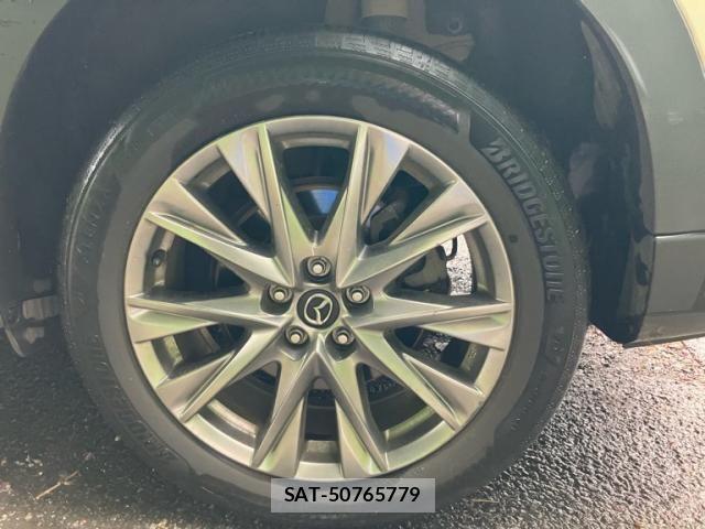 Mazda CX-8 2019-09 8795719-5