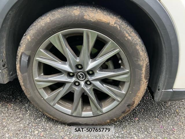Mazda CX-8 2019-09 8795719-7