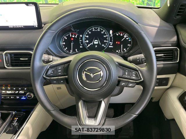Mazda CX-8 2021-10 8795716-10