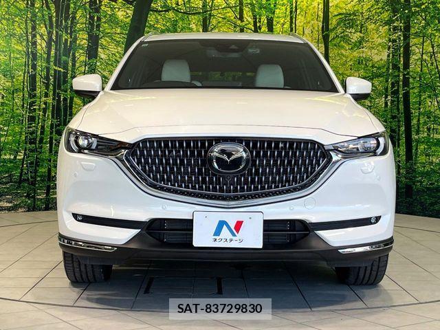 Mazda CX-8 2021-10 8795716-13