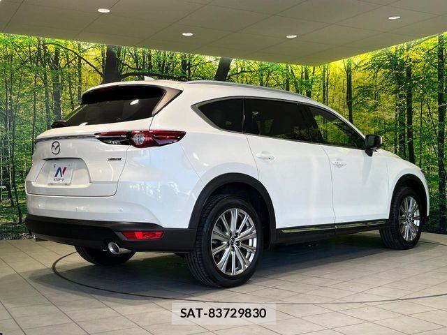 Mazda CX-8 2021-10 8795716-16
