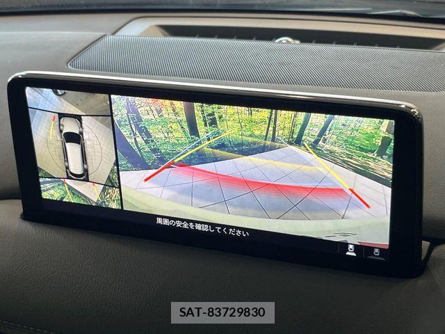 Mazda CX-8 2021-10 8795716-6