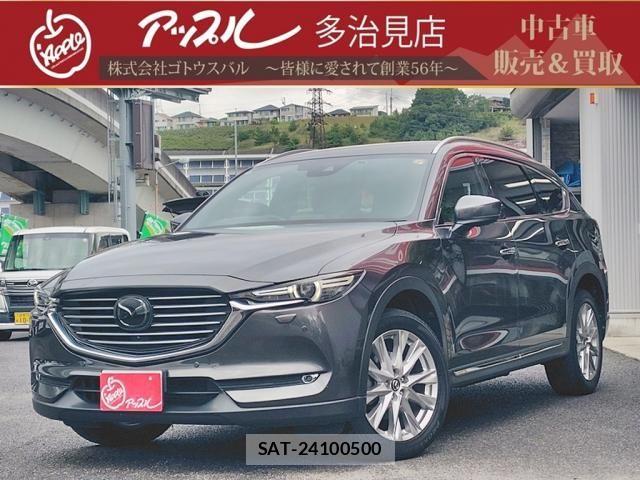 Mazda CX-8 2018-03 8828593-0