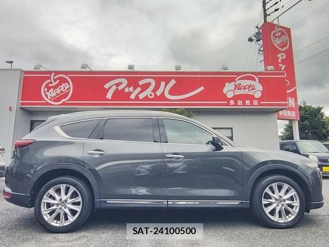 Mazda CX-8 2018-03 8828593-9