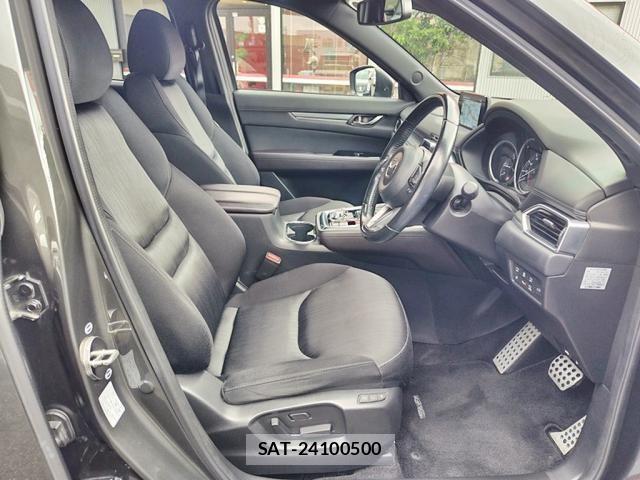 Mazda CX-8 2018-03 8828593-20