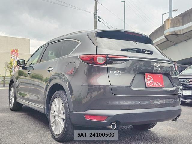 Mazda CX-8 2018-03 8828593-3