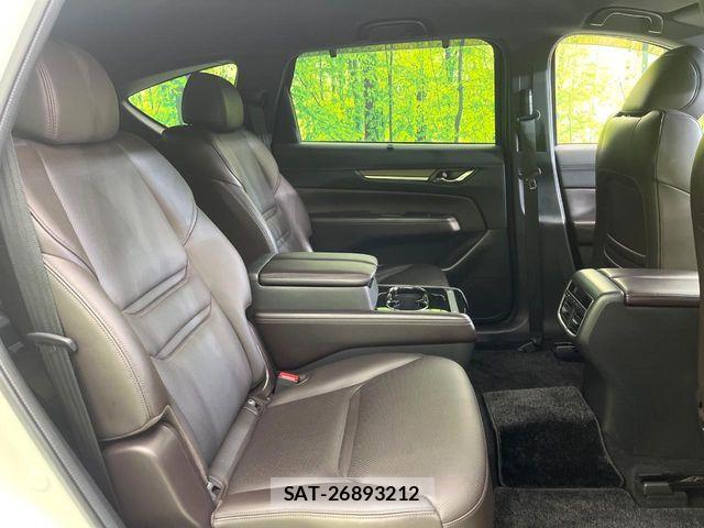 Mazda CX-8 2018-12 8848660-8