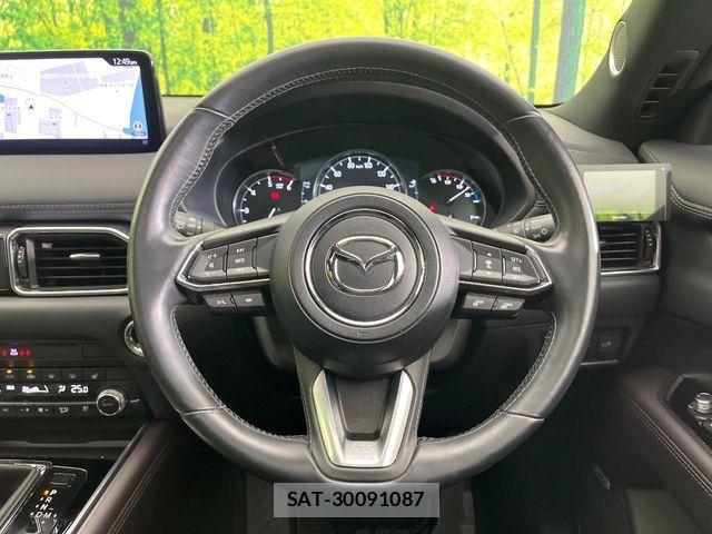 Mazda CX-8 2021-03 8848659-6