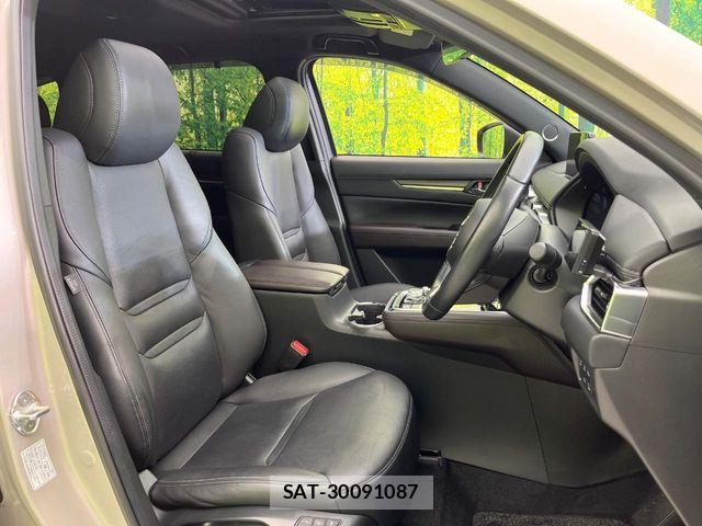 Mazda CX-8 2021-03 8848659-7