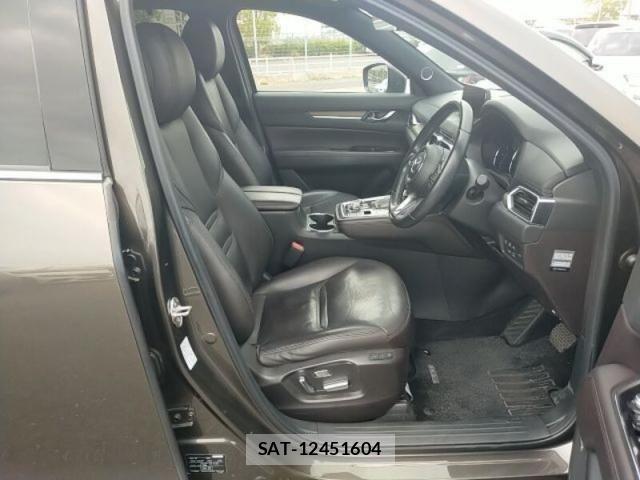 Mazda CX-8 2019-12 8879394-9