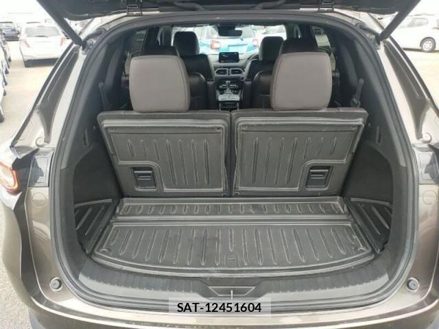 Mazda CX-8 2019-12 8879394-12