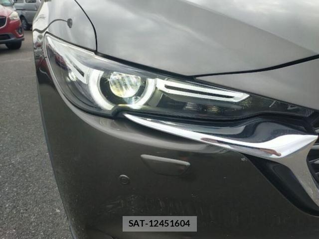 Mazda CX-8 2019-12 8879394-14