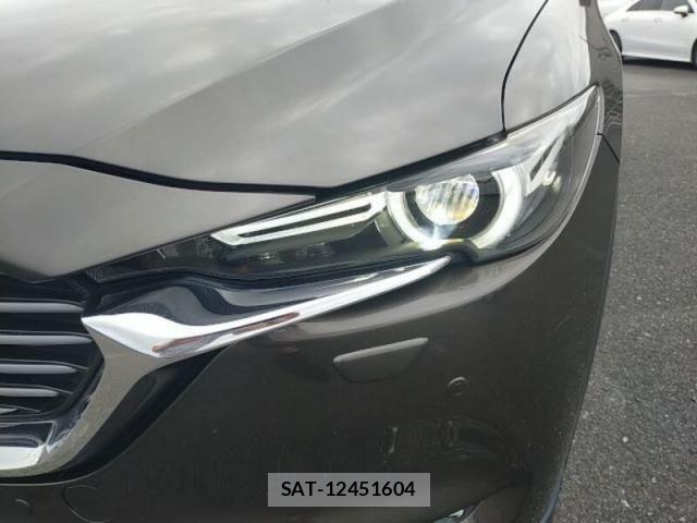Mazda CX-8 2019-12 8879394-15