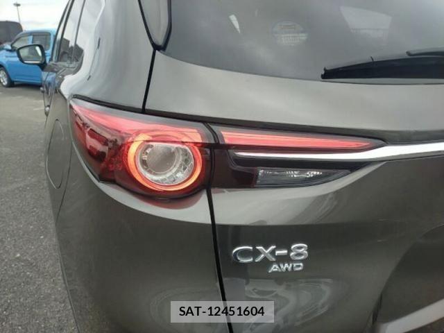 Mazda CX-8 2019-12 8879394-16