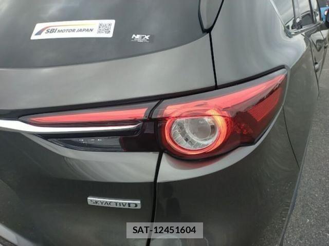 Mazda CX-8 2019-12 8879394-17