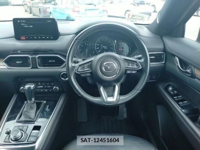 Mazda CX-8 2019-12 8879394-19