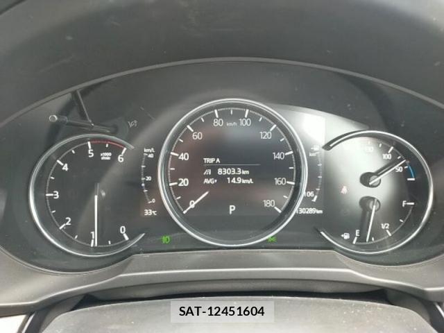 Mazda CX-8 2019-12 8879394-20