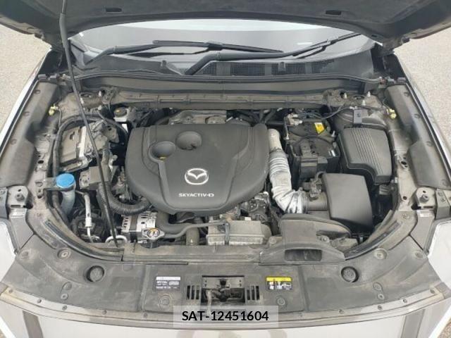 Mazda CX-8 2019-12 8879394-28