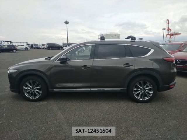 Mazda CX-8 2019-12 8879394-7