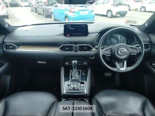 Mazda CX-8 2019-12 8879394-8