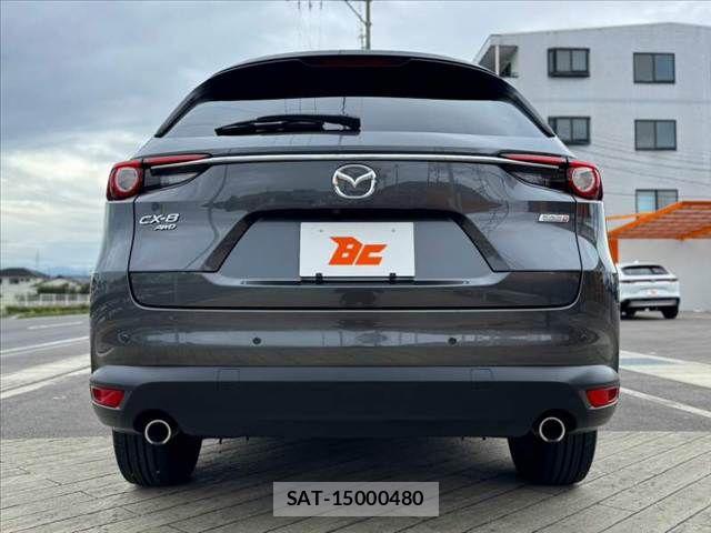 Mazda CX-8 2018-09 8879396-13