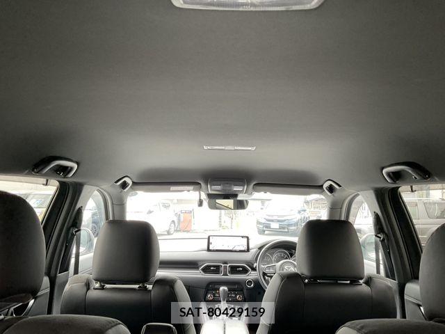 Mazda CX-8 2021-03 8879391-14