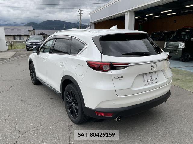 Mazda CX-8 2021-03 8879391-8