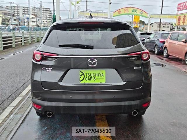 Mazda CX-8 2019-02 8879395-10