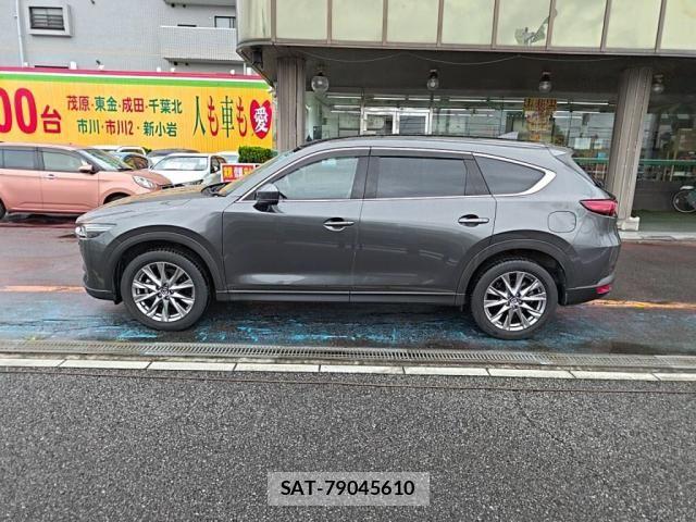 Mazda CX-8 2019-02 8879395-11