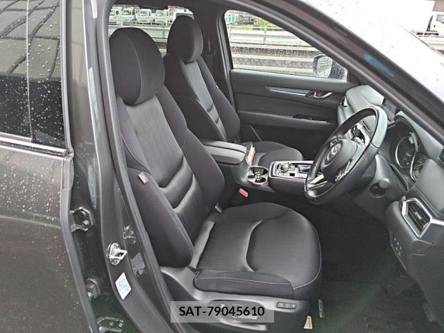 Mazda CX-8 2019-02 8879395-12