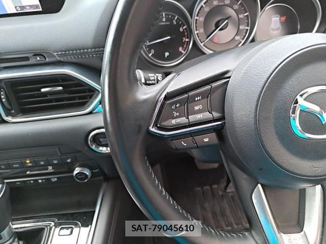 Mazda CX-8 2019-02 8879395-14