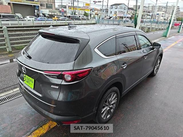 Mazda CX-8 2019-02 8879395-1